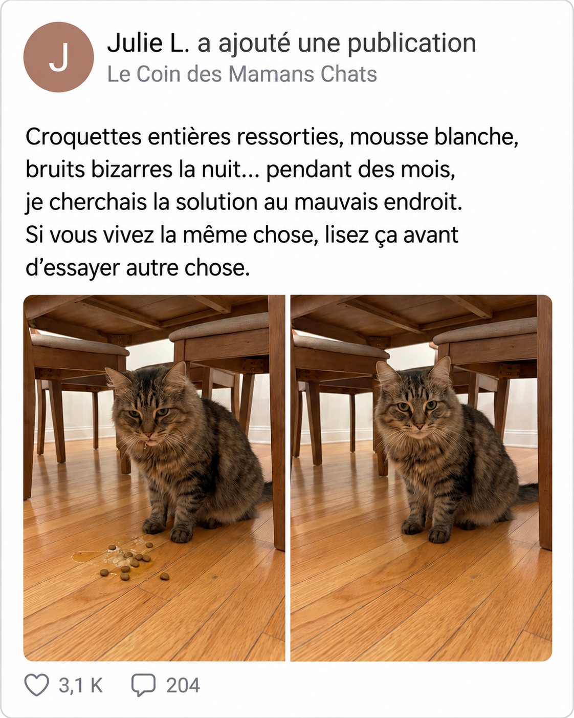 Sophie Martin Facebook ad: STOP: ne changez pas encore ses croquettes