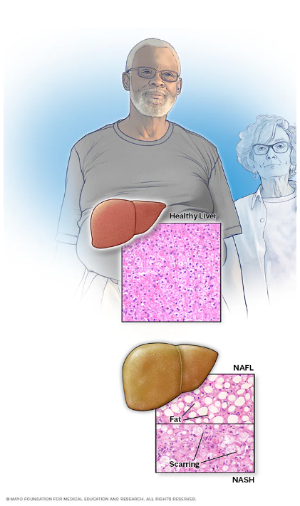 Mayo Clinic Press Facebook ad