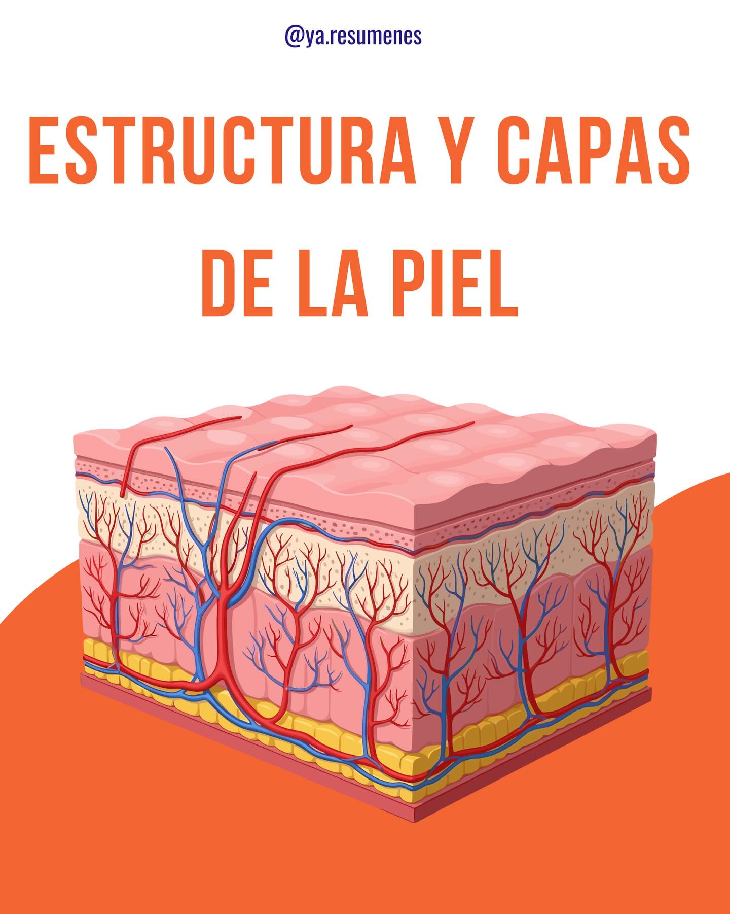 Resúmenes de Salud Facebook ad: Guarda el post para que no lo olvides