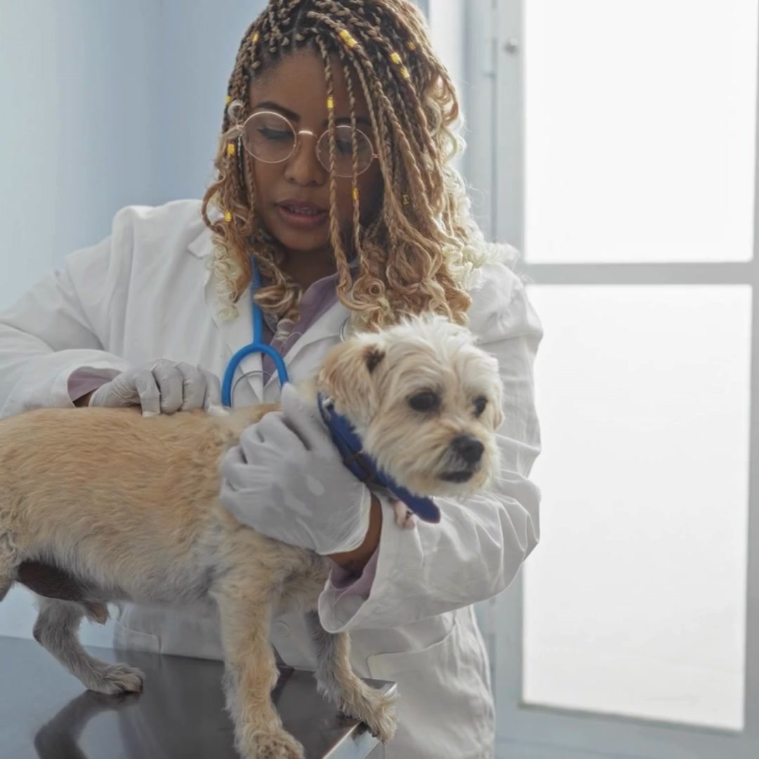 Penn Foster Facebook ad: Online Veterinary Tech Program