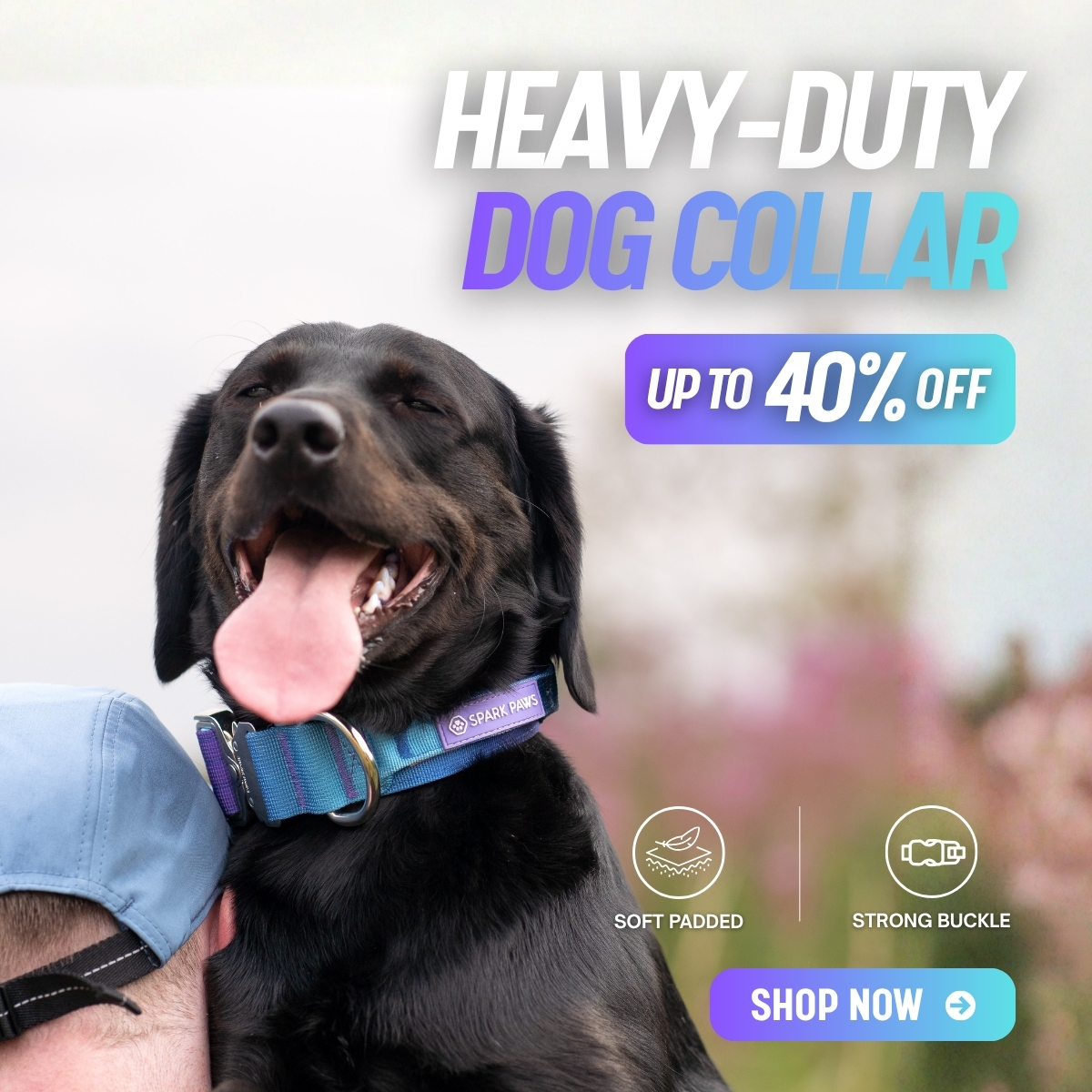 Spark Paws Facebook ad