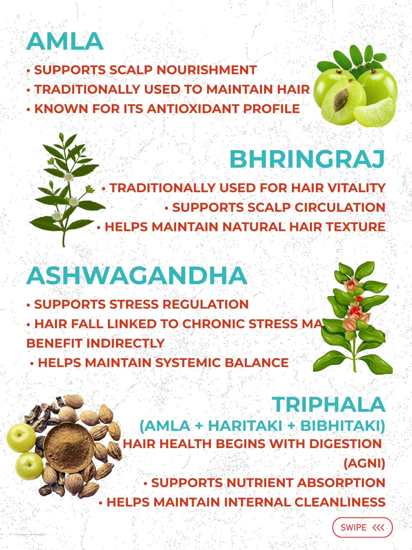Ayurvedam Store Facebook ad: HAIR FALL DOESN’T FIX ITSELF.