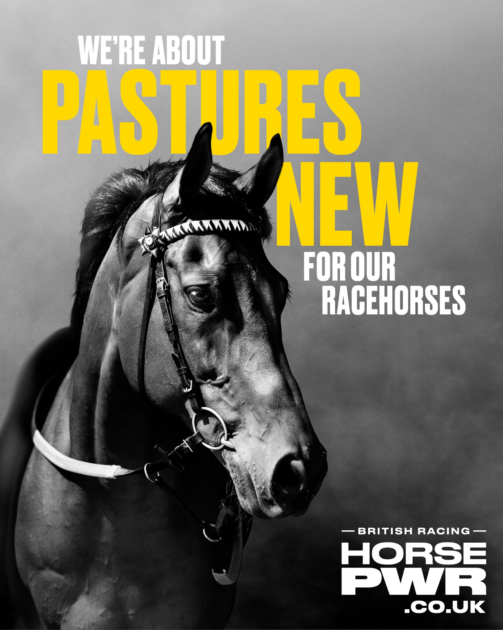 Great British Racing Facebook ad