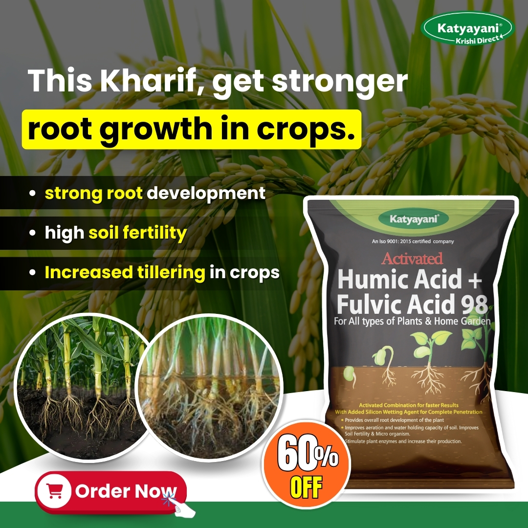 Katyayani Organics Facebook ad