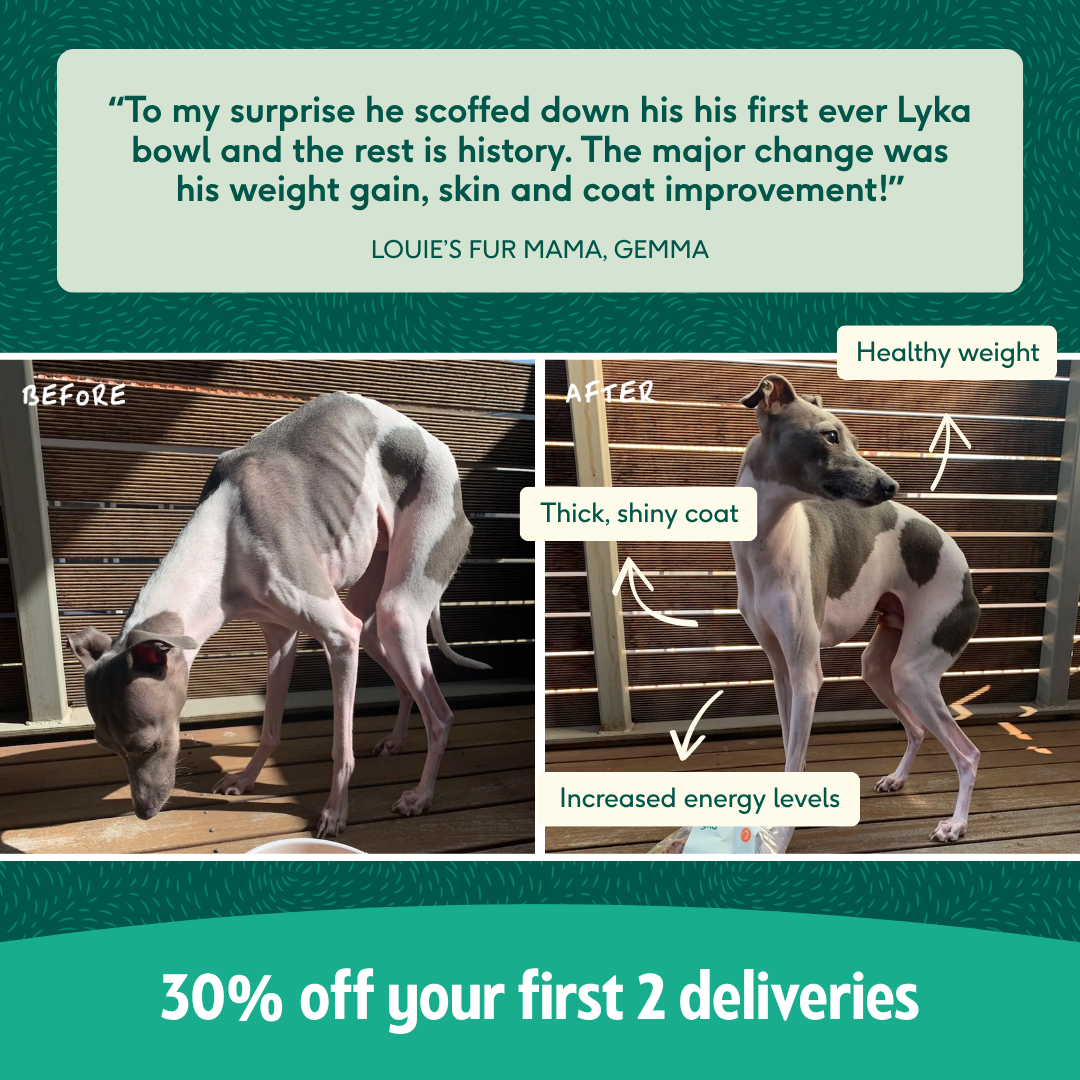 Lyka Pet Food Facebook ad