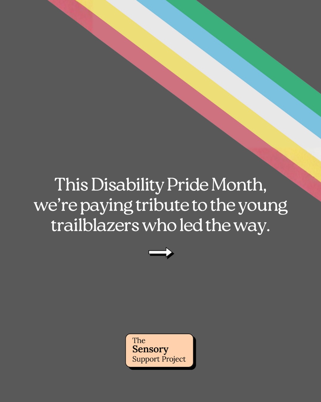 thesensorysupportproject Facebook ad: This July, for Disability Pride Month, we’re honoring…