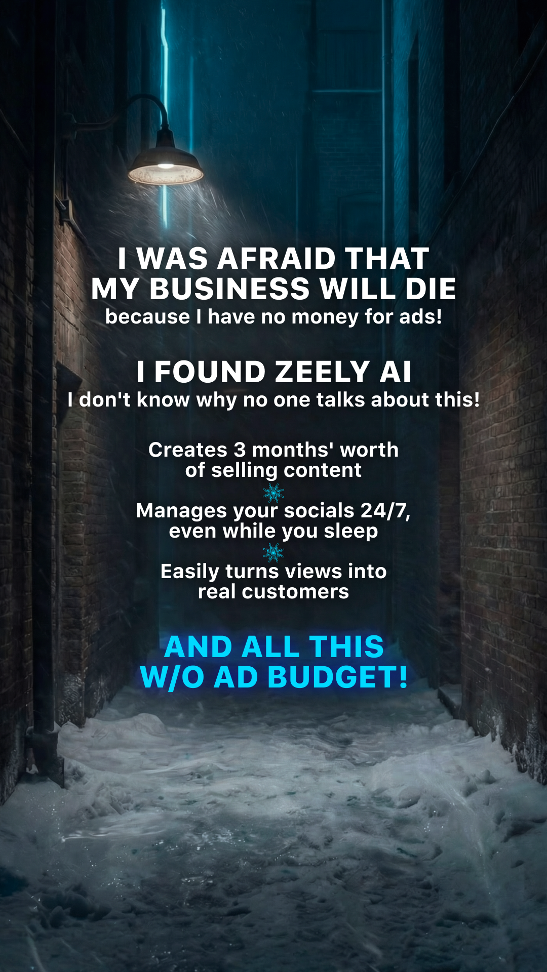 Zeely Facebook ad