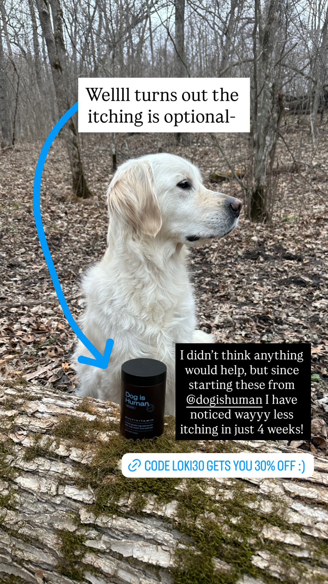 Dog is Human Facebook ad