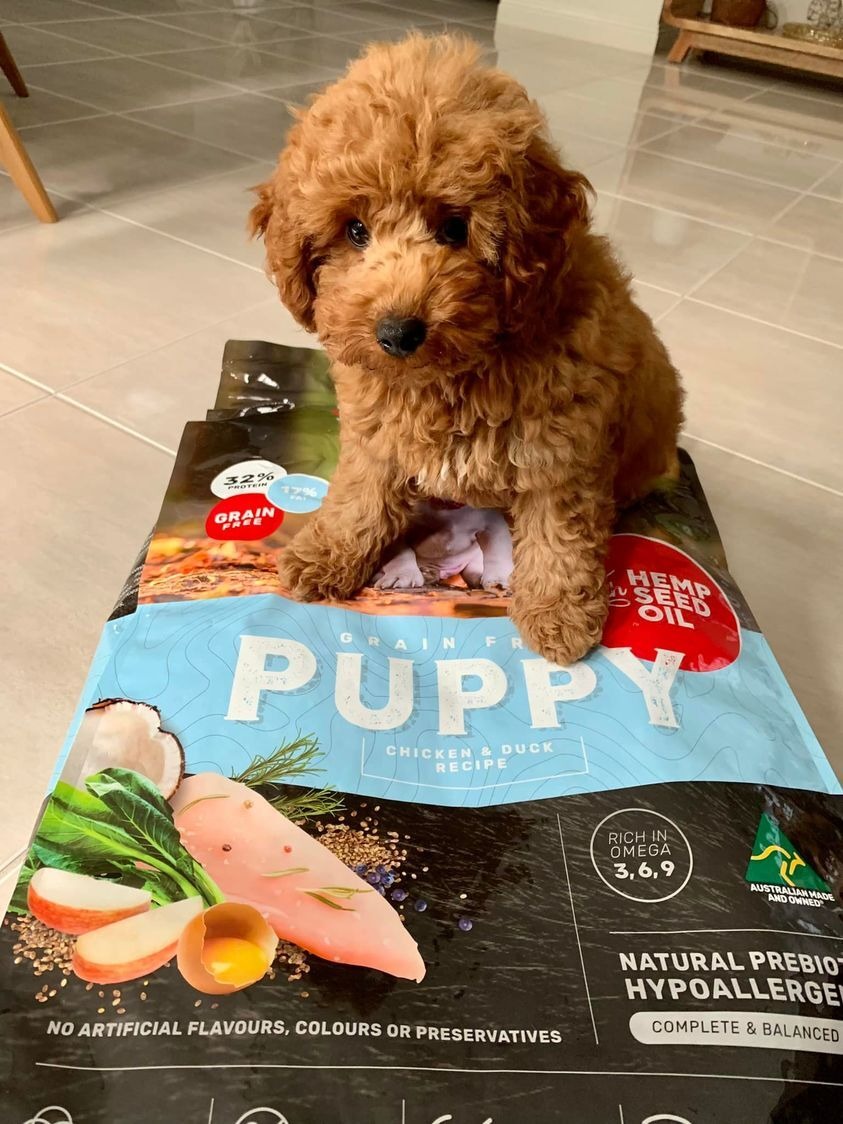 Pet Food Australia Facebook ad
