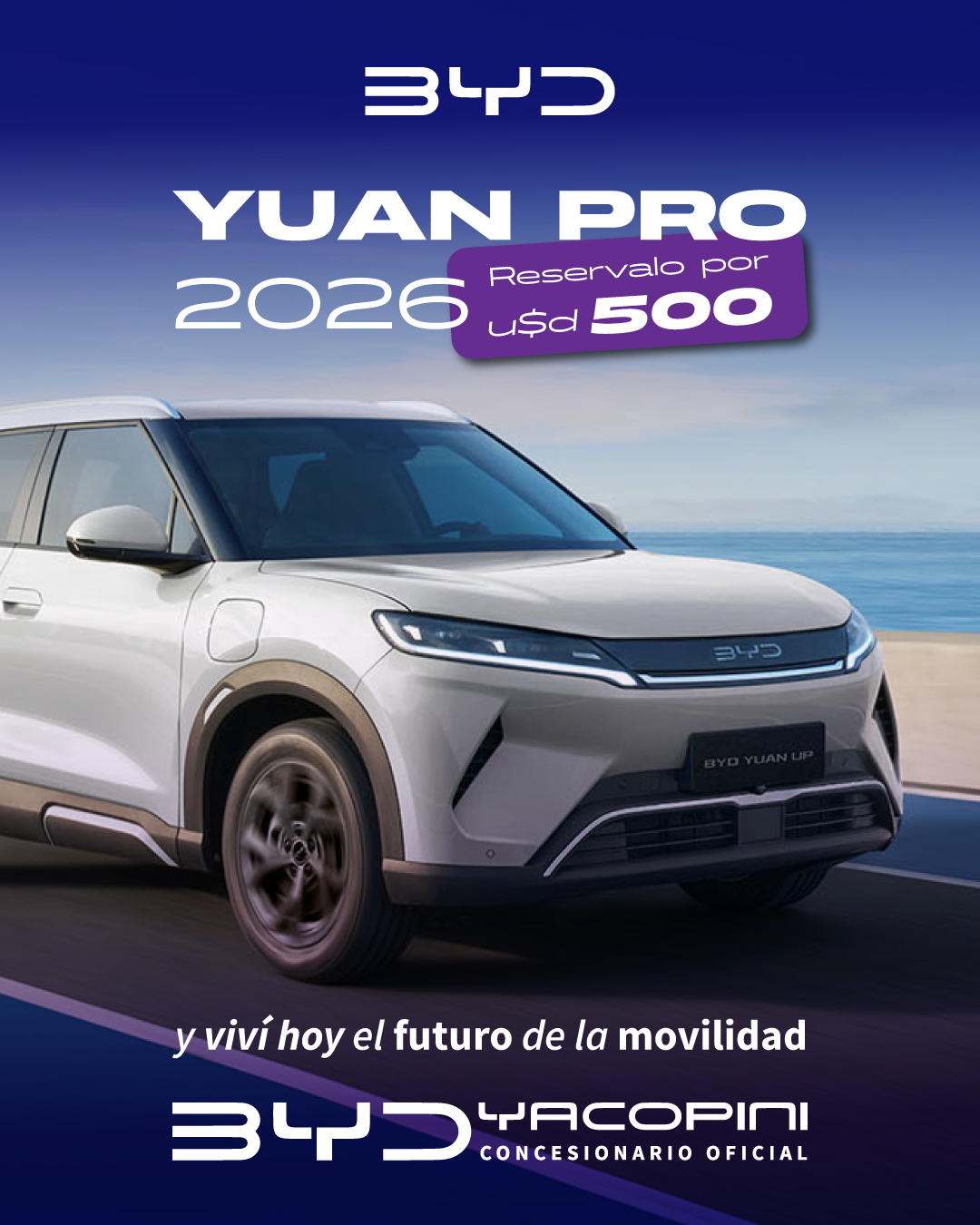 Territorio Yacopini Facebook ad from Dec 16, 2025