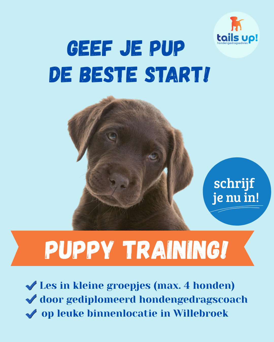 Tails up - hondengedragsadvies Facebook ad: Puppyschool | tails up! | Hondenschool voor puppy's…