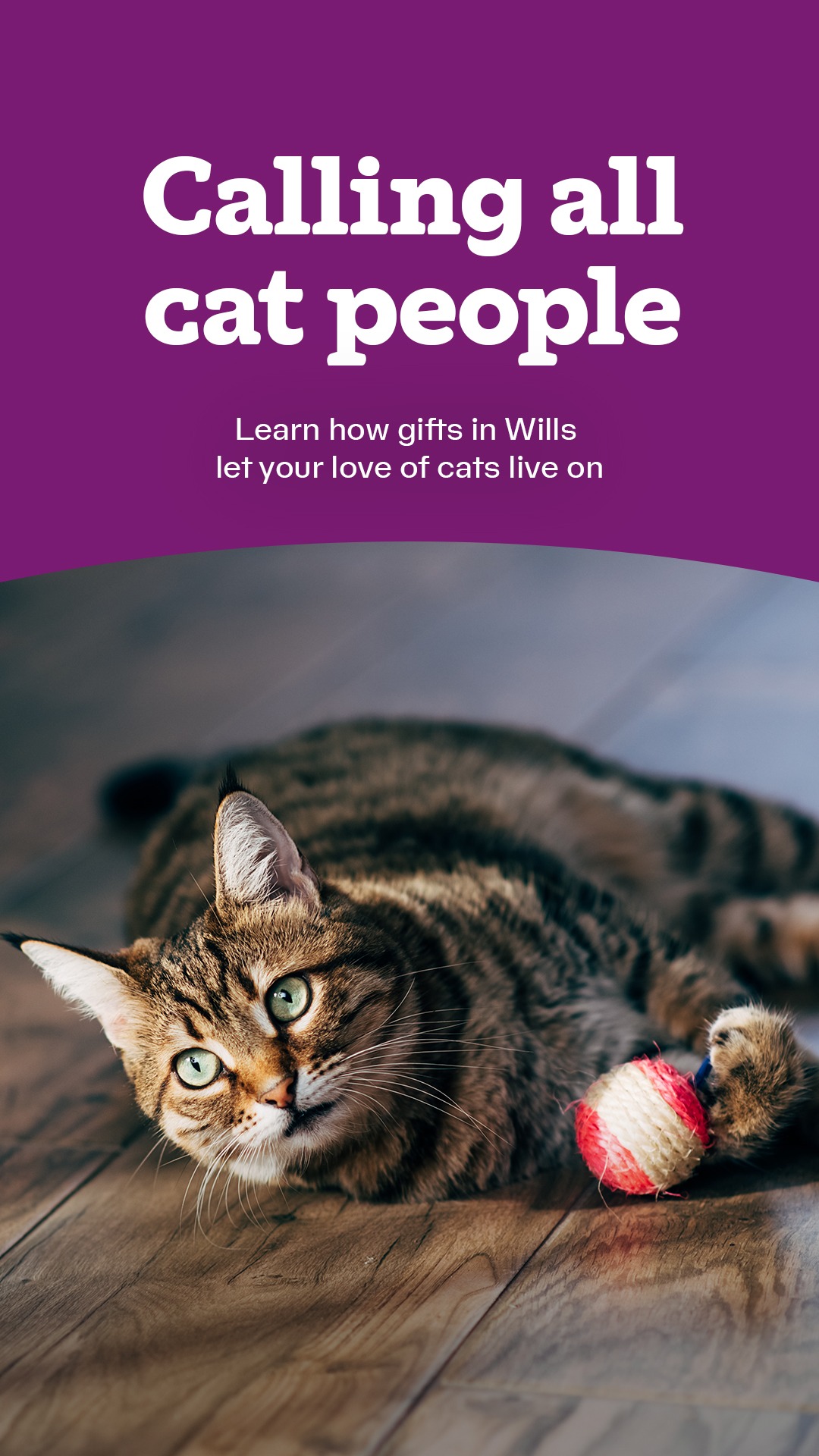 Cats Protection Facebook ad