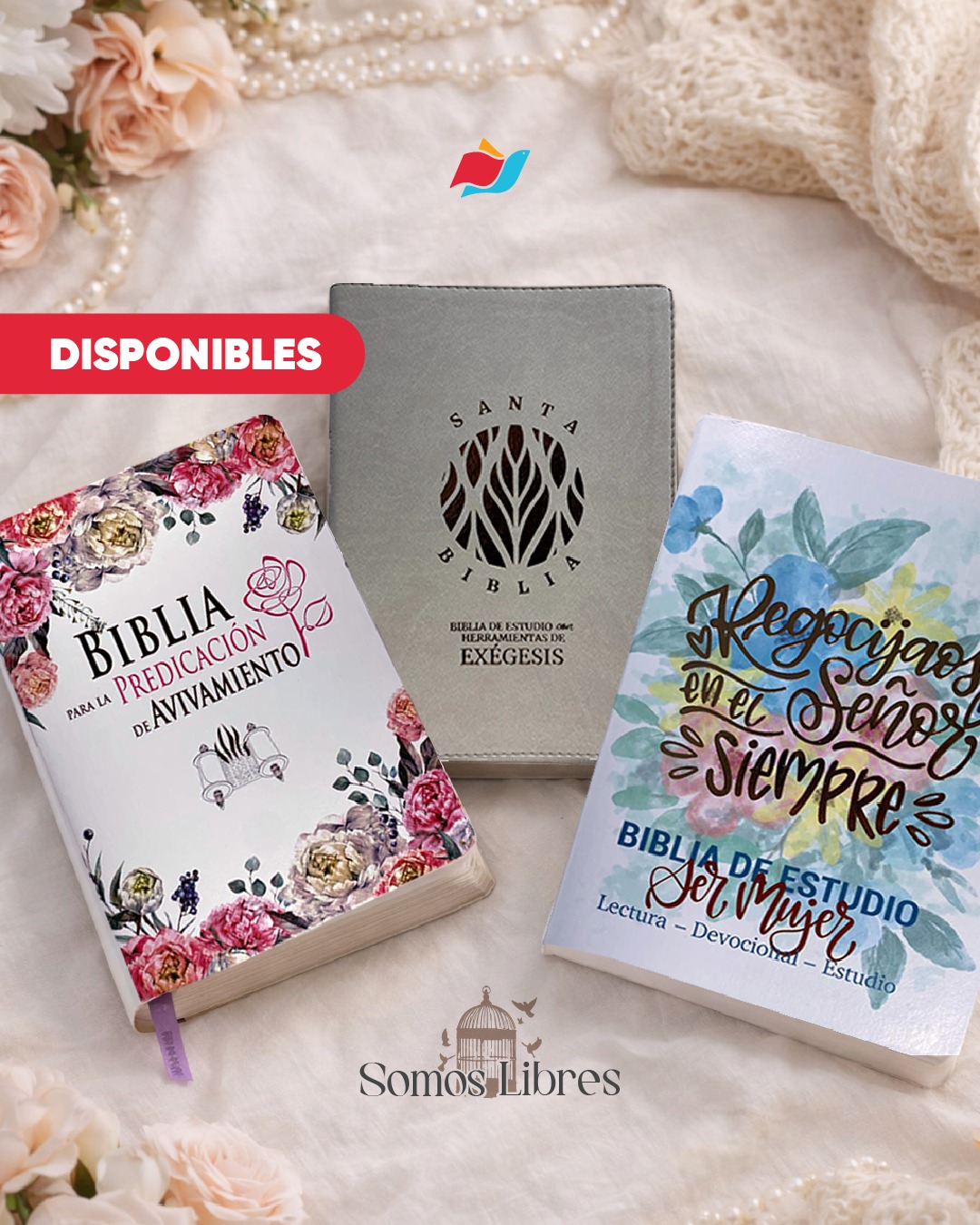 Sociedad Bíblica Colombiana Facebook ad