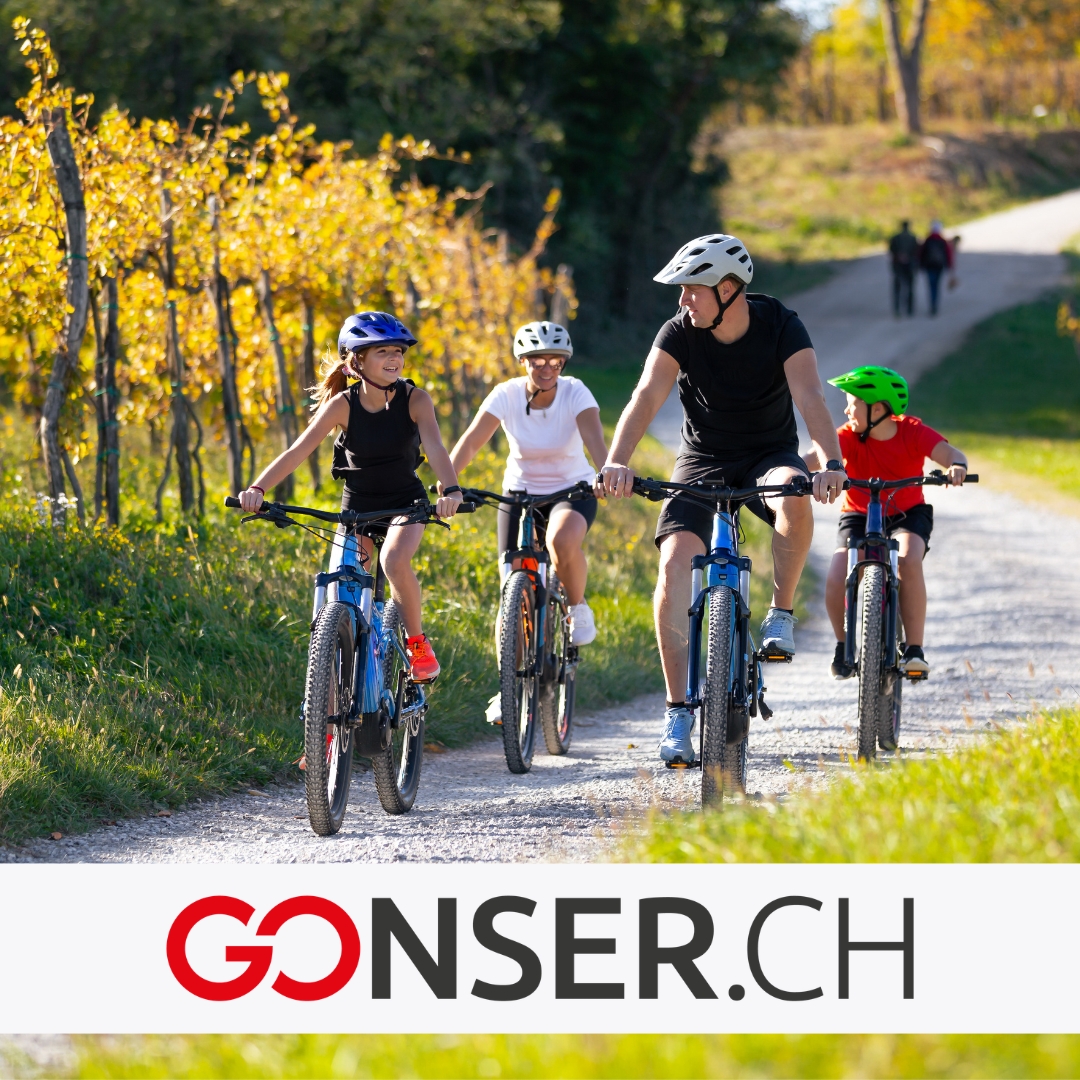 Gonser AG  Facebook ad