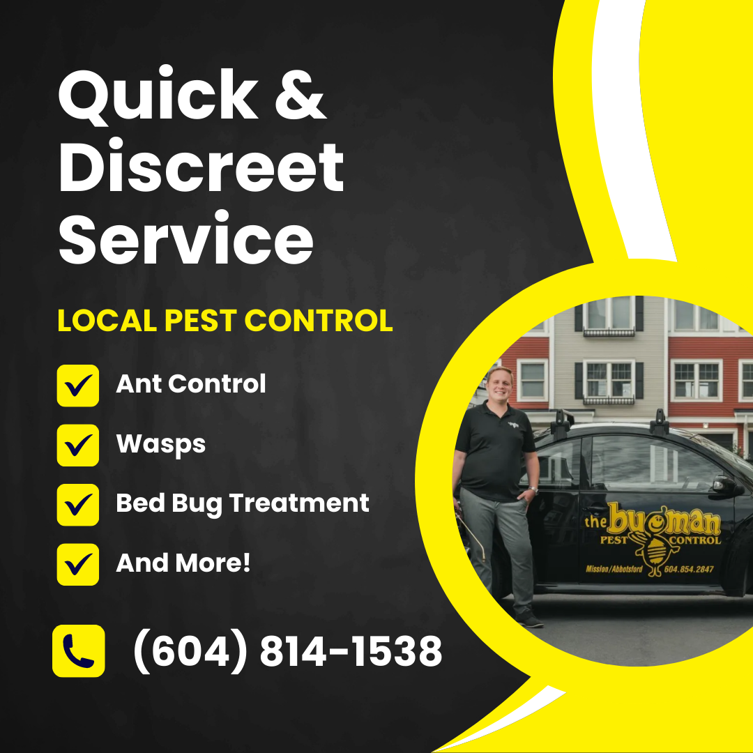 The Bugman Pest Control Services Facebook ad: Discreet Pest Control Service