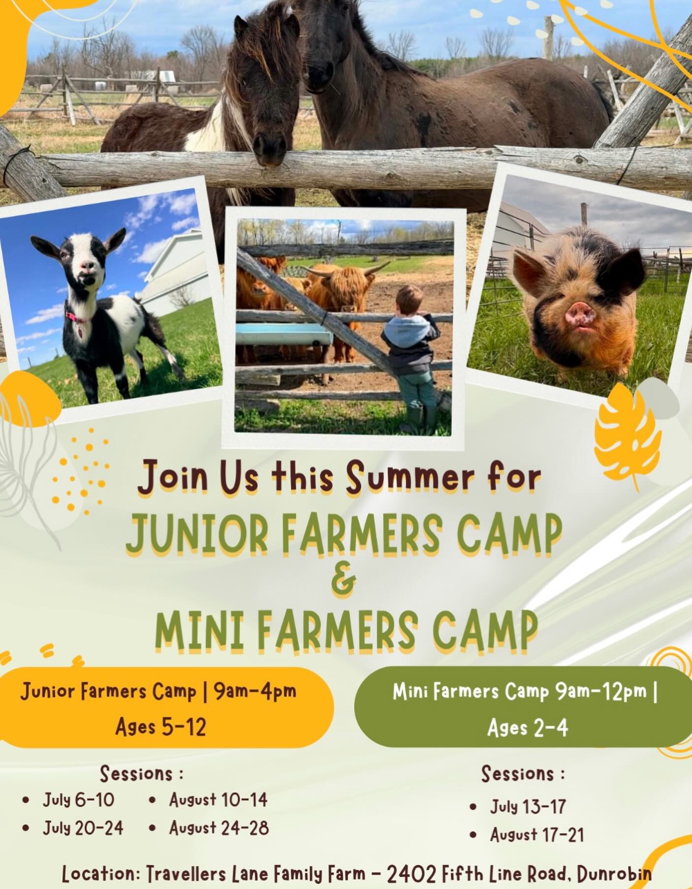 Travellers Lane Family Farm Facebook ad: SUMMER FARM CAMP IS HERE!