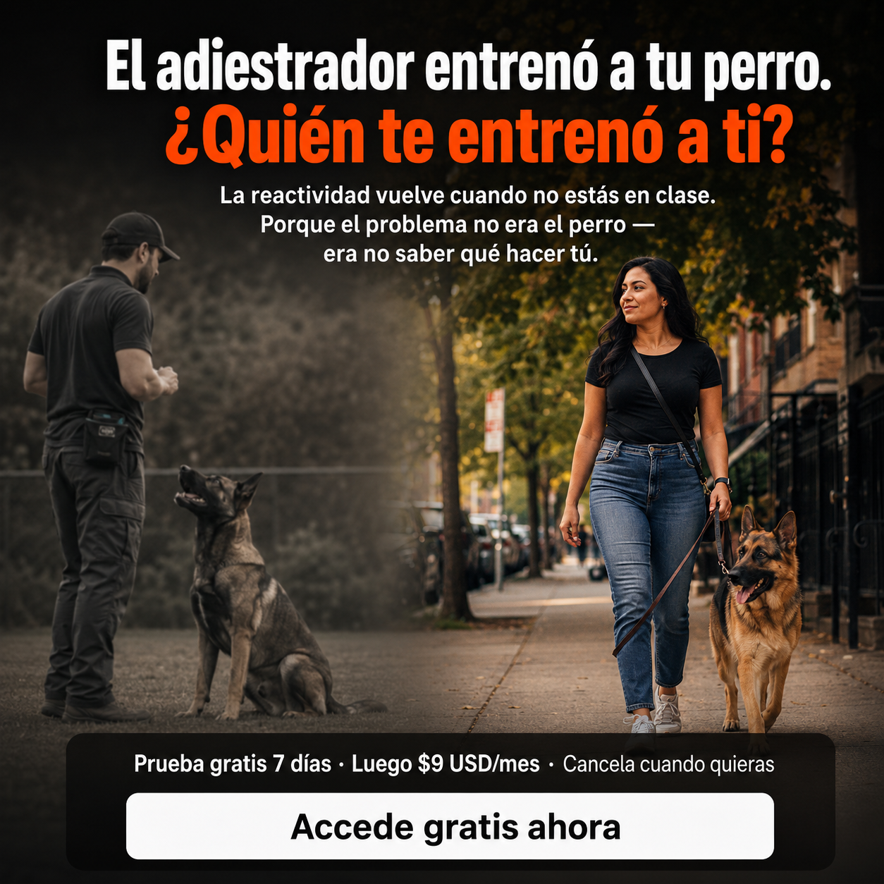 El Profesor Canino Facebook ad
