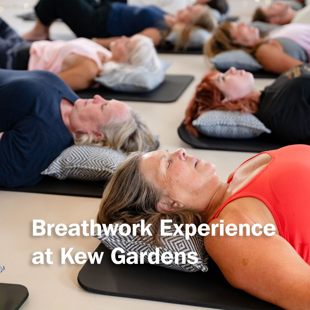 Kew Gardens Facebook ad: Your wellbeing routine, reimagined
