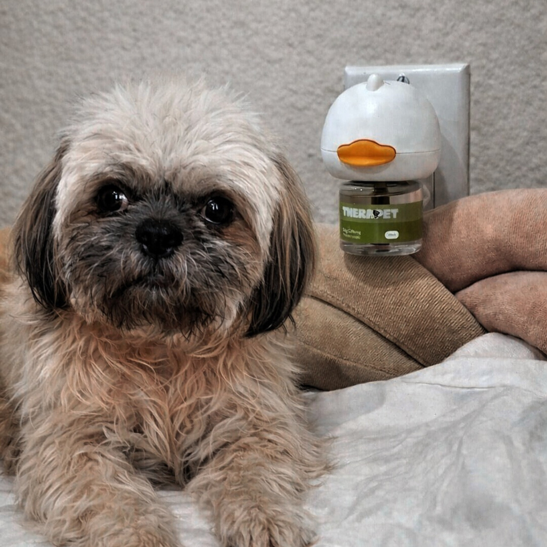 Vet approved products Facebook ad