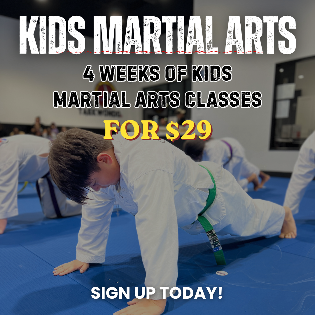 Parks Taekwondo Cinco Ranch Facebook ad