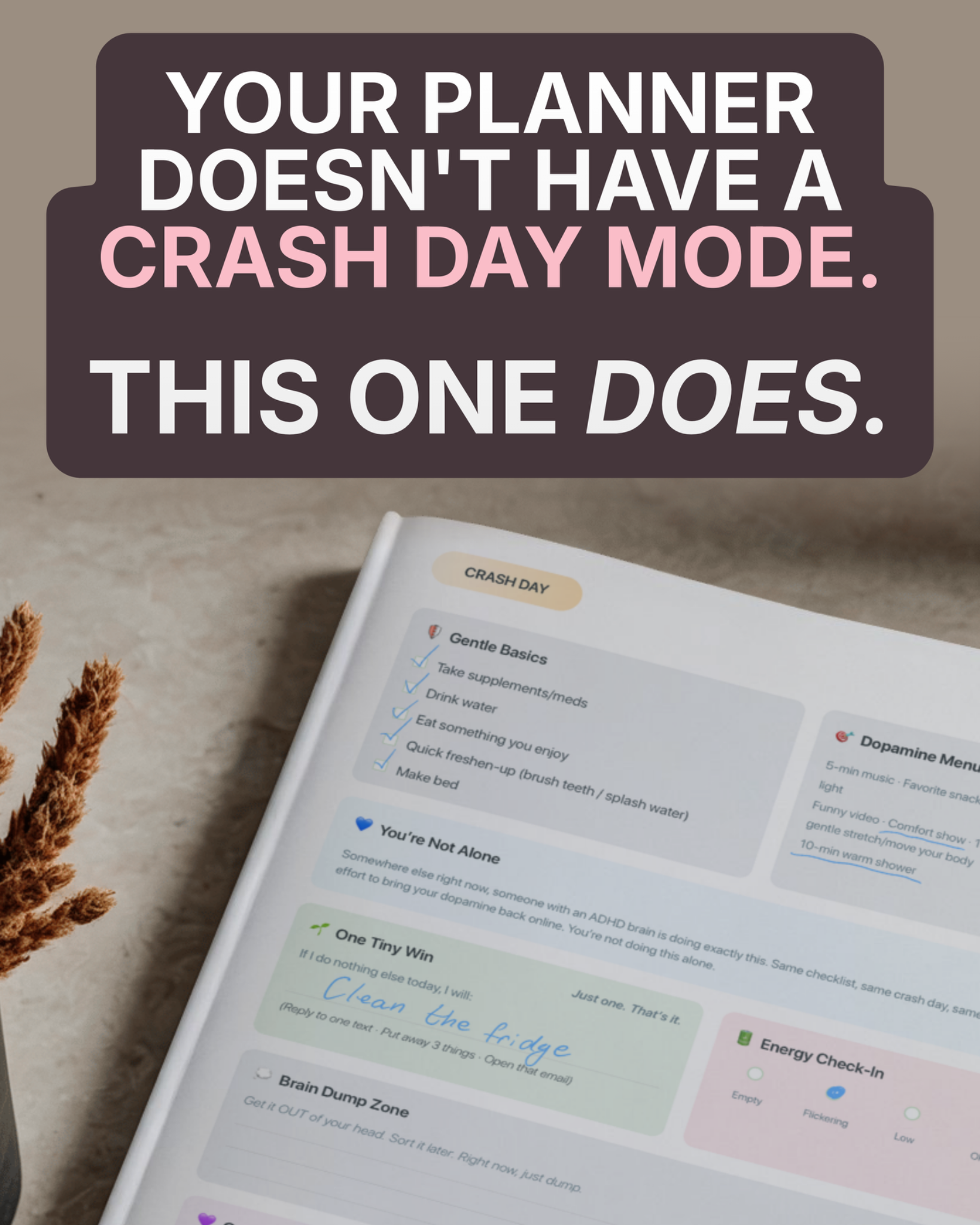 Dopamine Planner Facebook ad: Your planner doesn't have Crash Day Mode