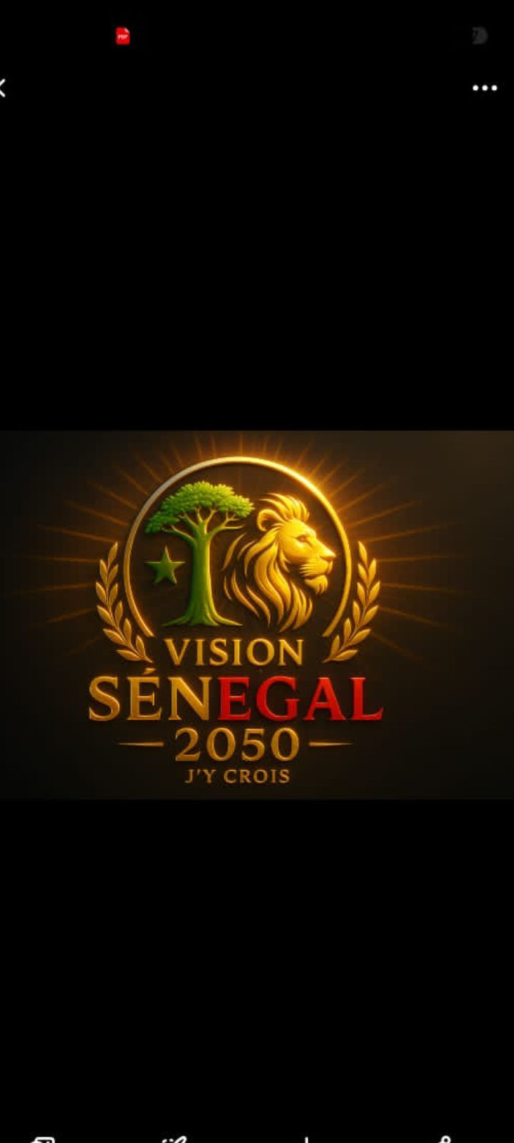 Djiby Oumar Diallo Facebook ad: Définition complète du logo et du mouvement: Vision…