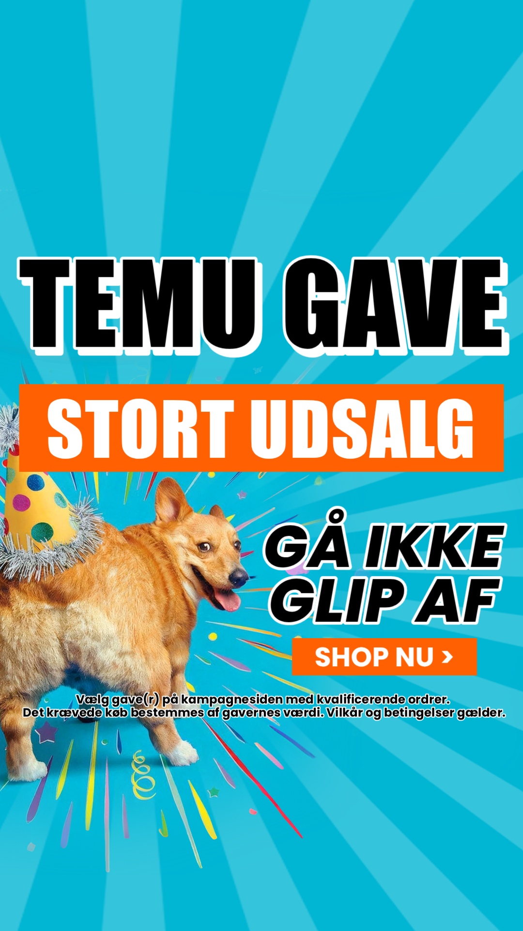 Temu Denmark Facebook ad
