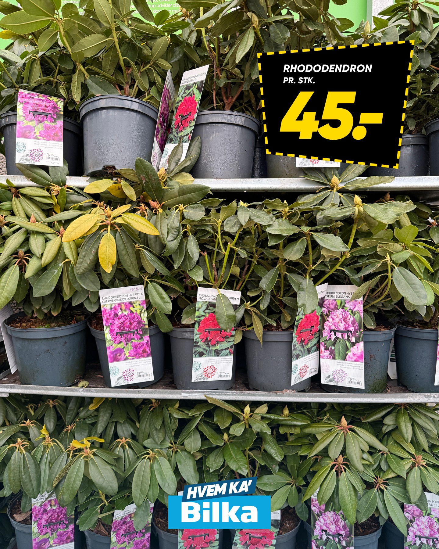 Bilka Facebook ad