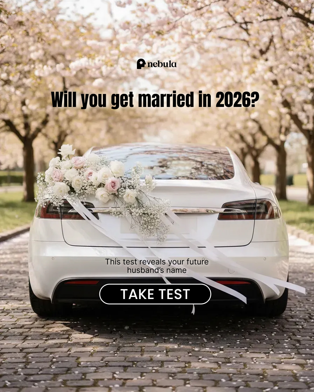 Nebula: Marriage Compatibility Facebook ad