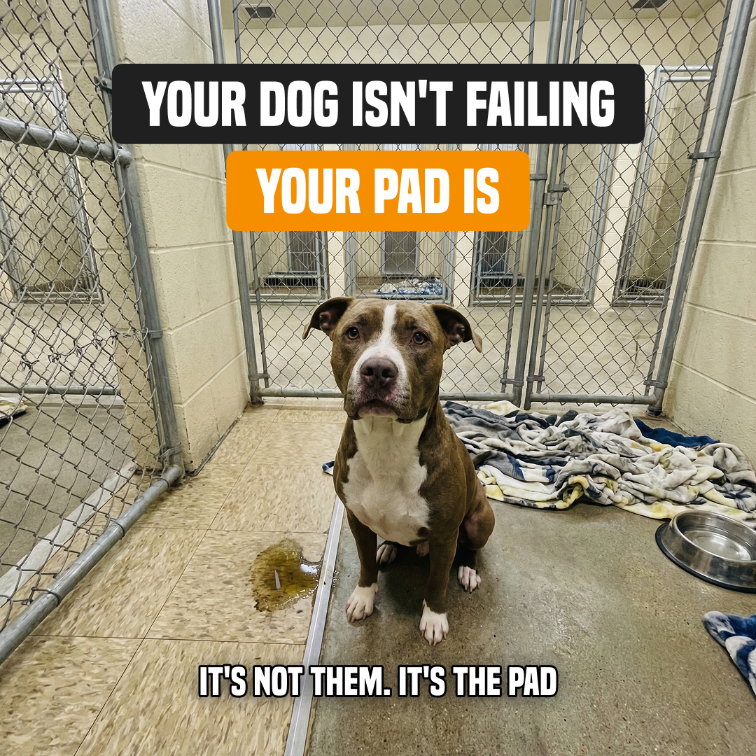 PuppyPad Facebook ad