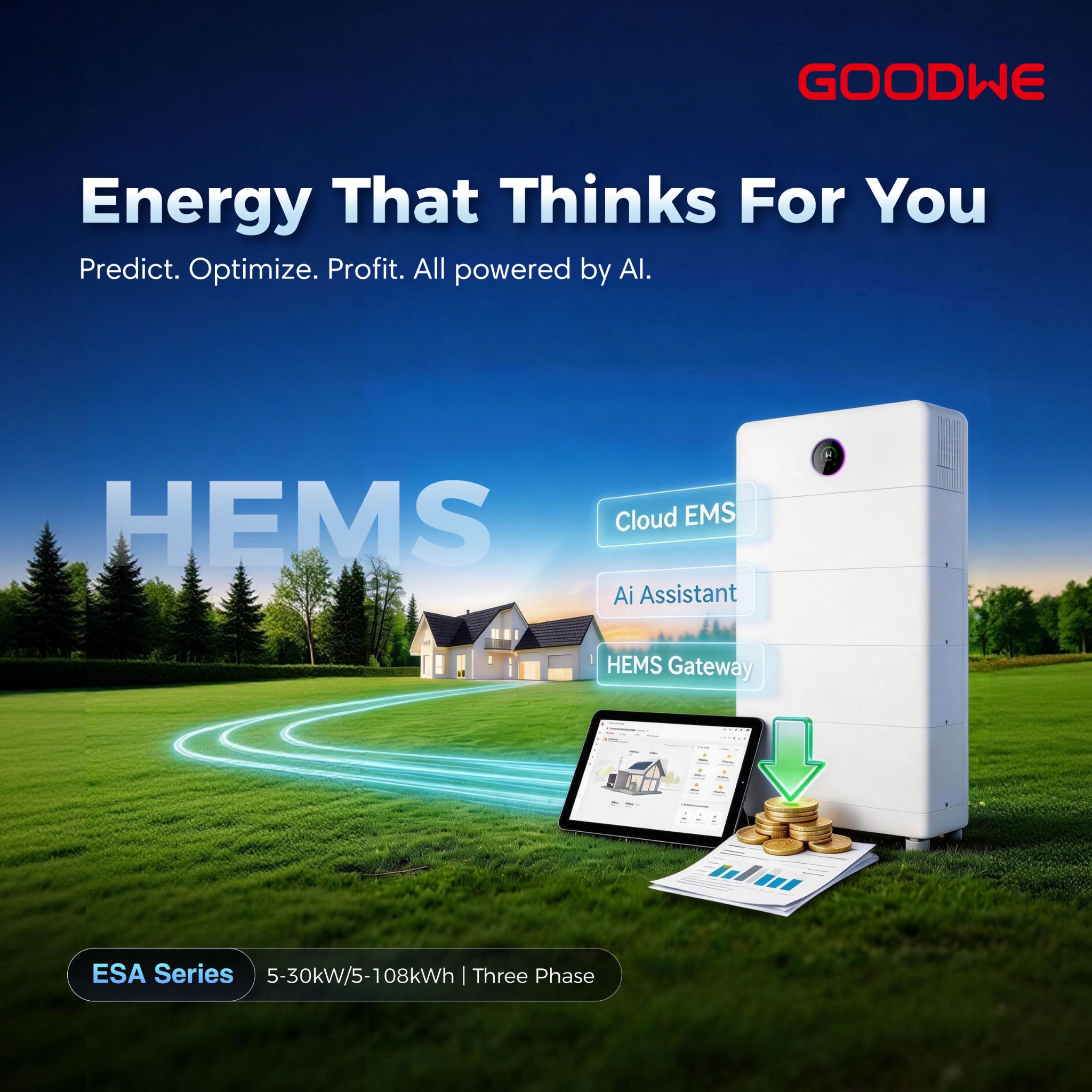 GoodWe Solar Engine Facebook ad