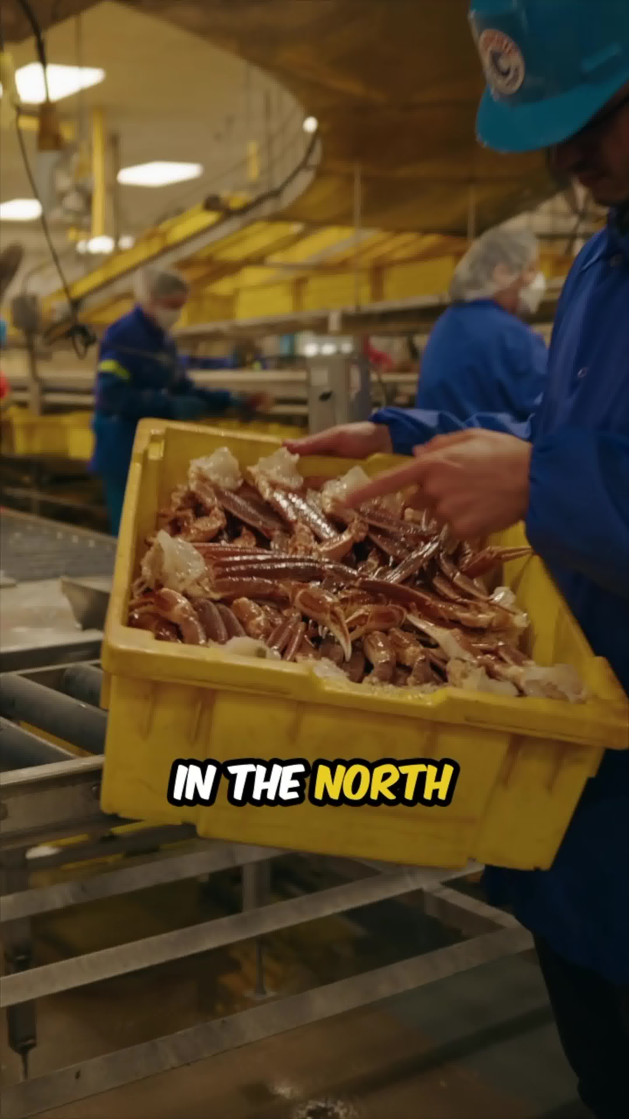 PrimeFish Seafood Co. Facebook ad: All Merus Leg Meat