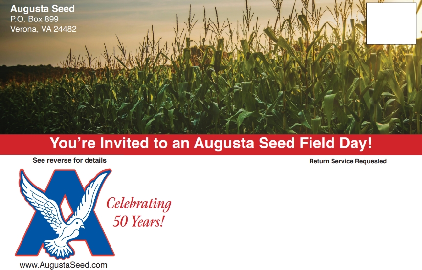 Augusta Seed Facebook ad: Augusta Seed Field Day - Painter, VA