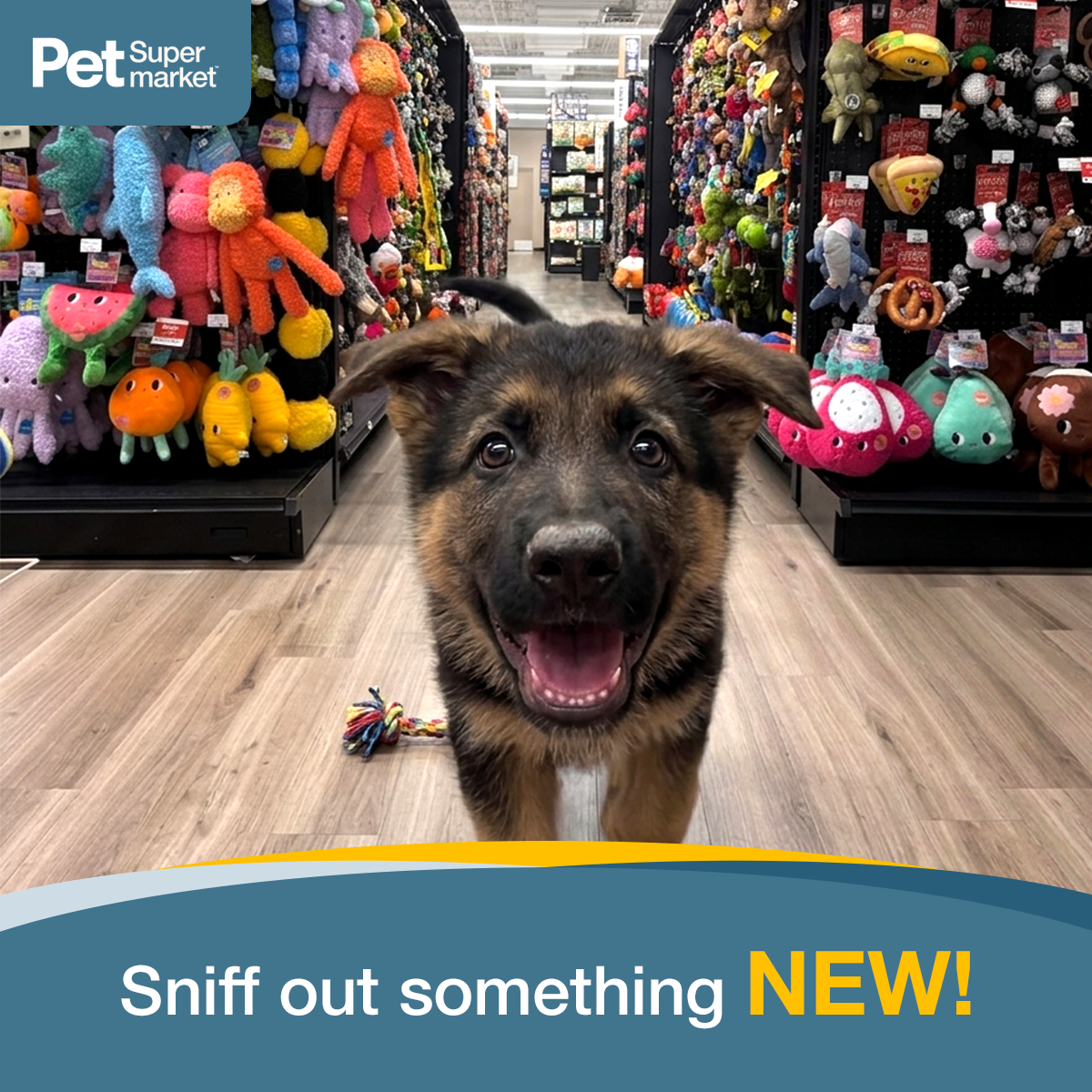 Pet Supermarket Facebook ad