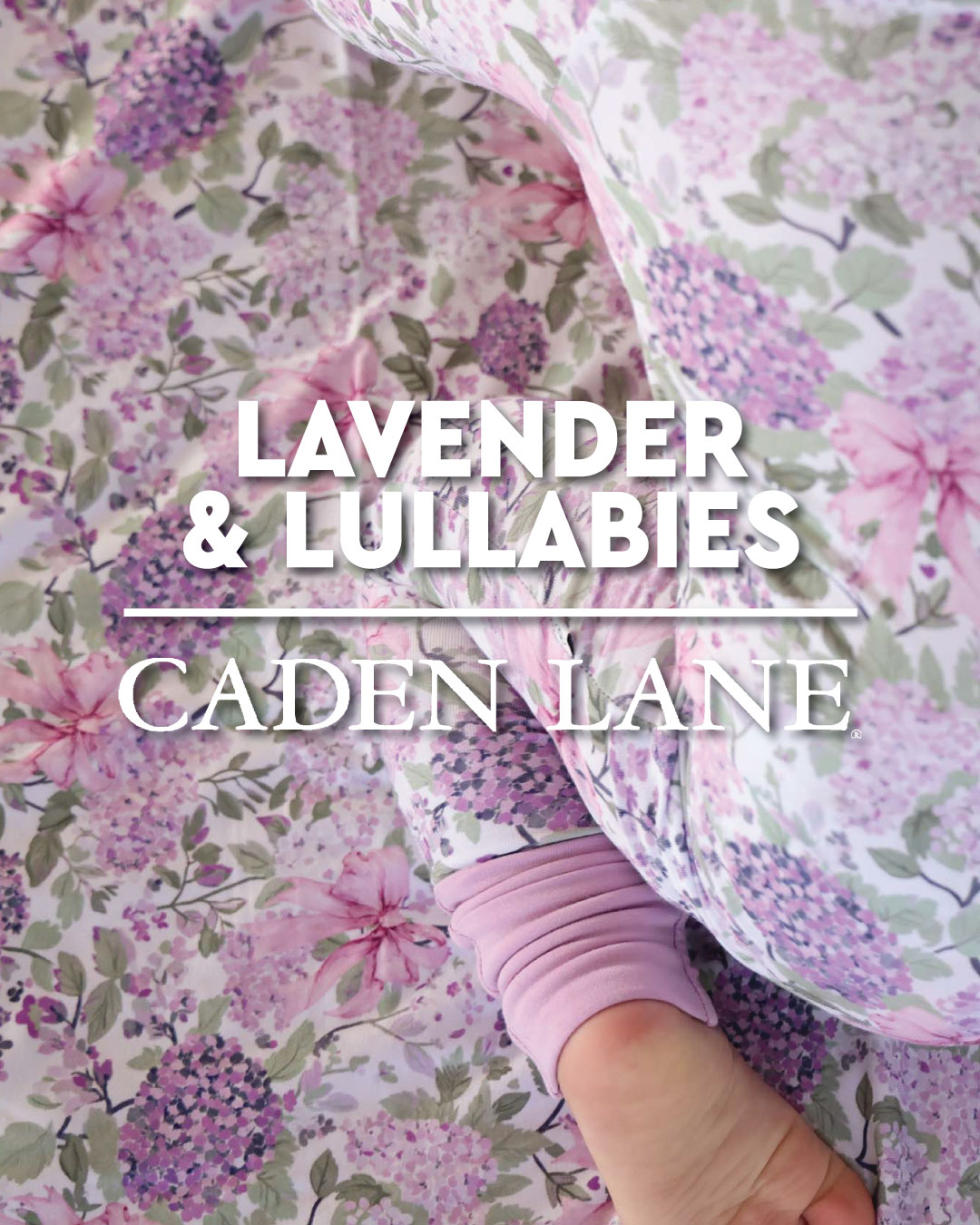 Caden Lane Facebook ad