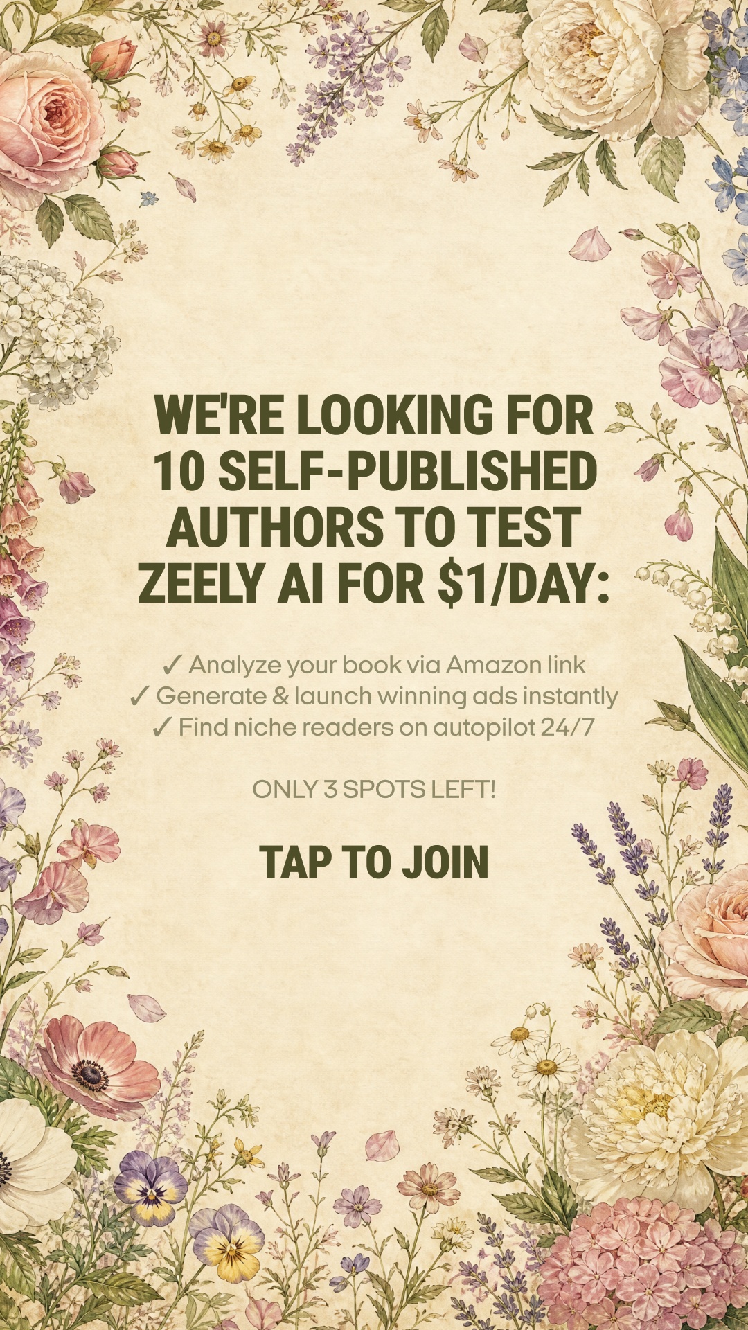Zeely Facebook ad