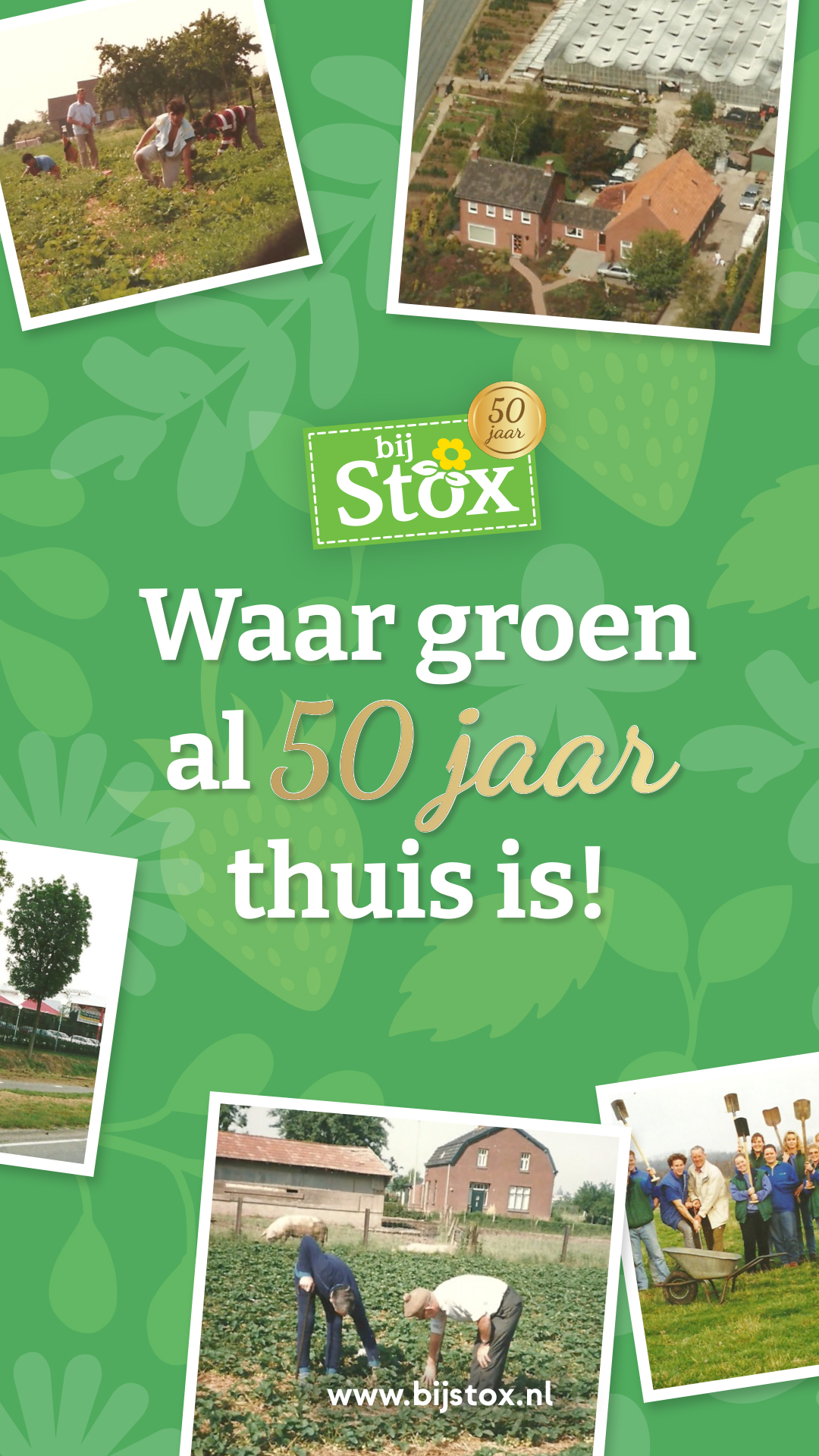 Tuincentrum BijStox Facebook ad