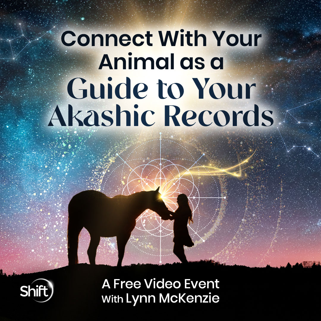 The Shift Network Facebook ad: Connect With Your Animal as an Akashic Guide