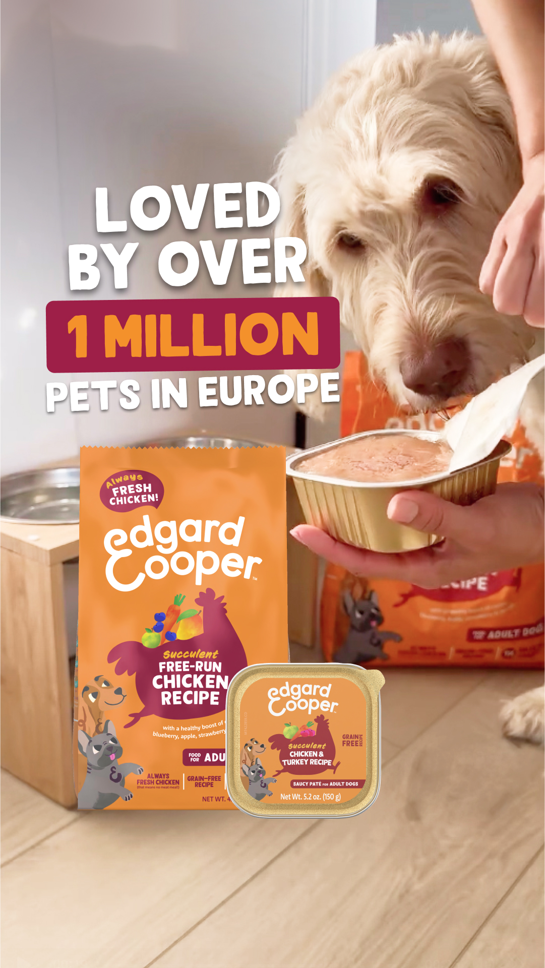 Edgard & Cooper Facebook ad from Feb 5, 2026