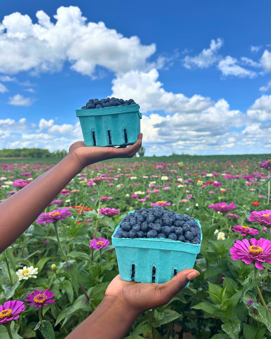 Southern Belle Farm Facebook ad: Summer Season is Here!
