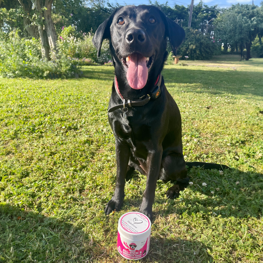 Nutri Paw Facebook ad