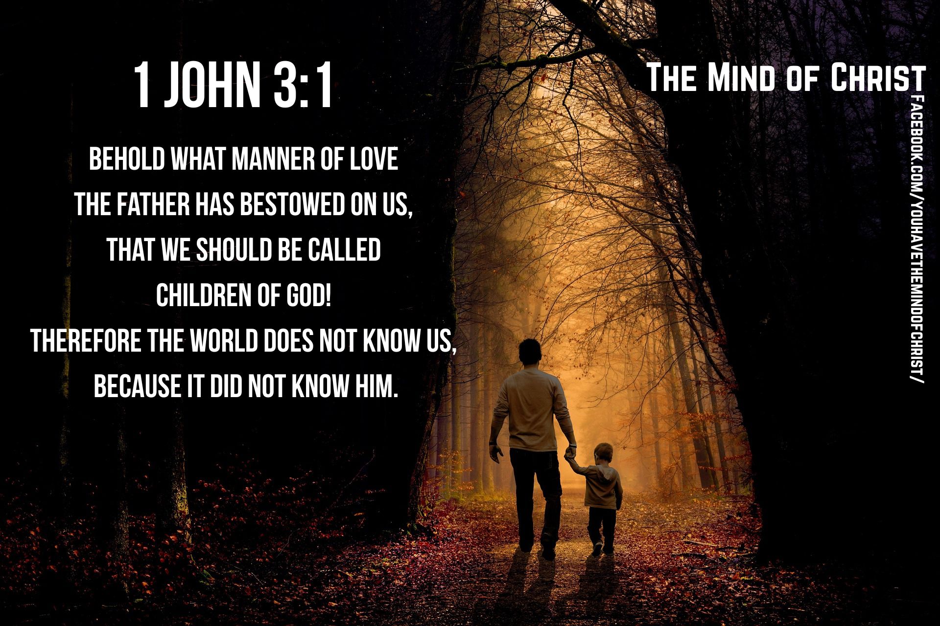 The Mind of Christ Facebook ad