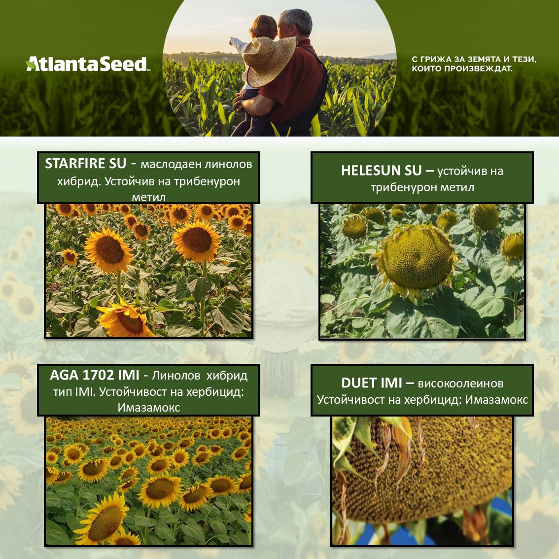 AtlantaSeed Facebook ad: Климатът е предизвикателен и нестабилен, след дълга суша…