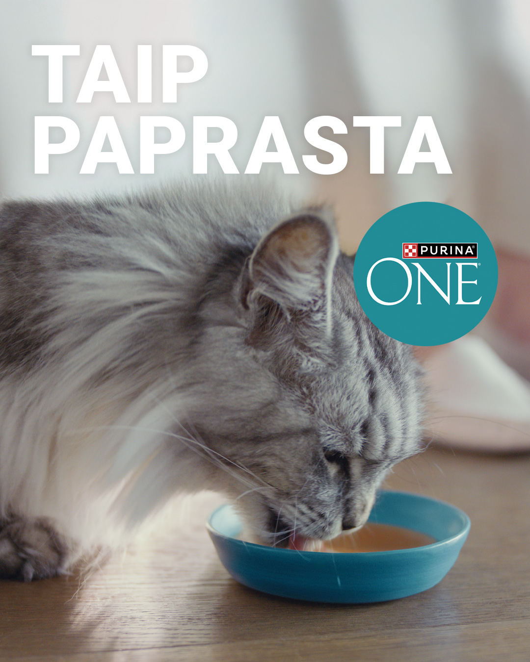 Purina Lietuva Facebook ad: Purina ONE Hydralife