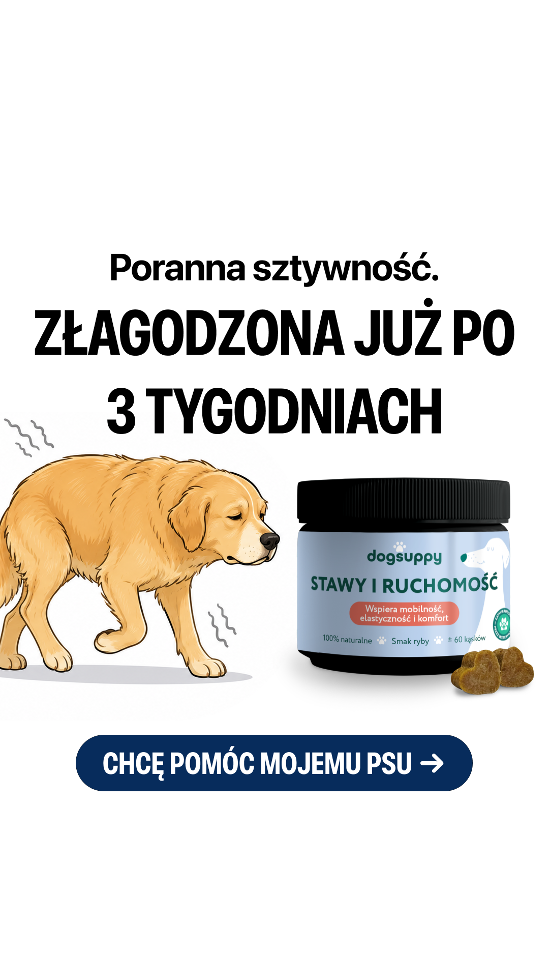 Suplementy DogSuppy Facebook ad from Jun 15, 2026