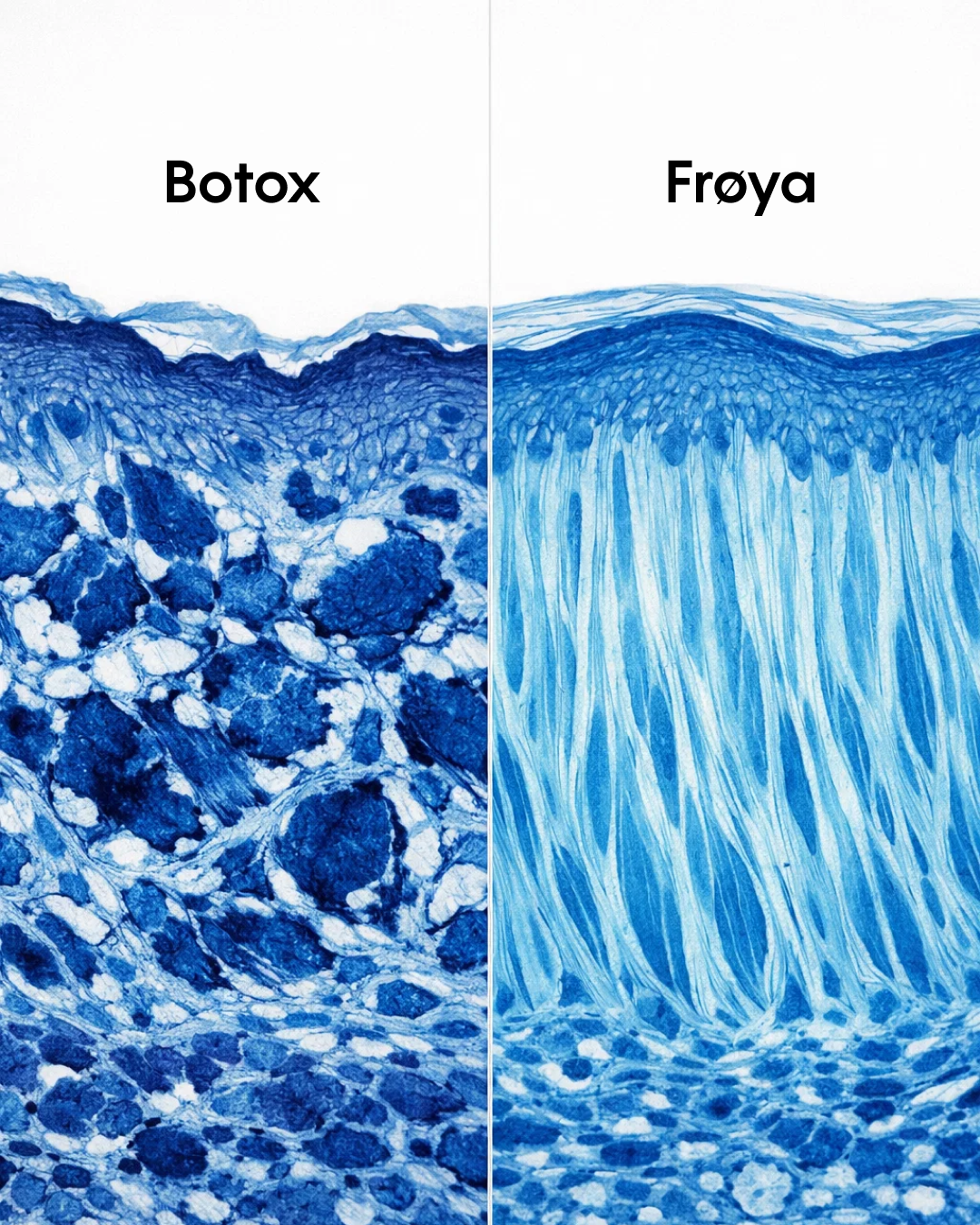 Frøya Organics Facebook ad