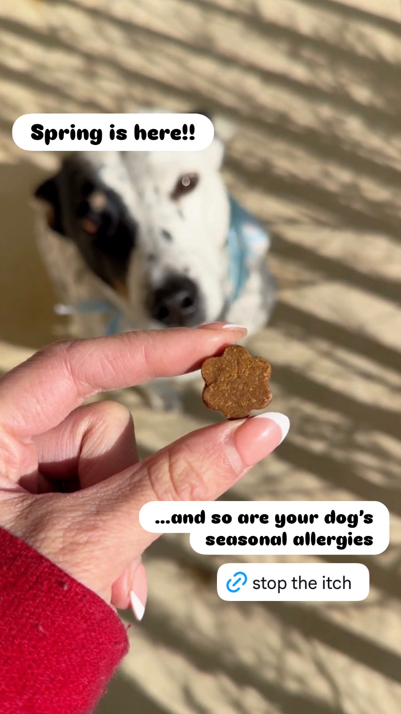 Dog is Human Facebook ad