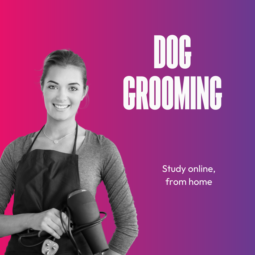 Open Study College Facebook ad