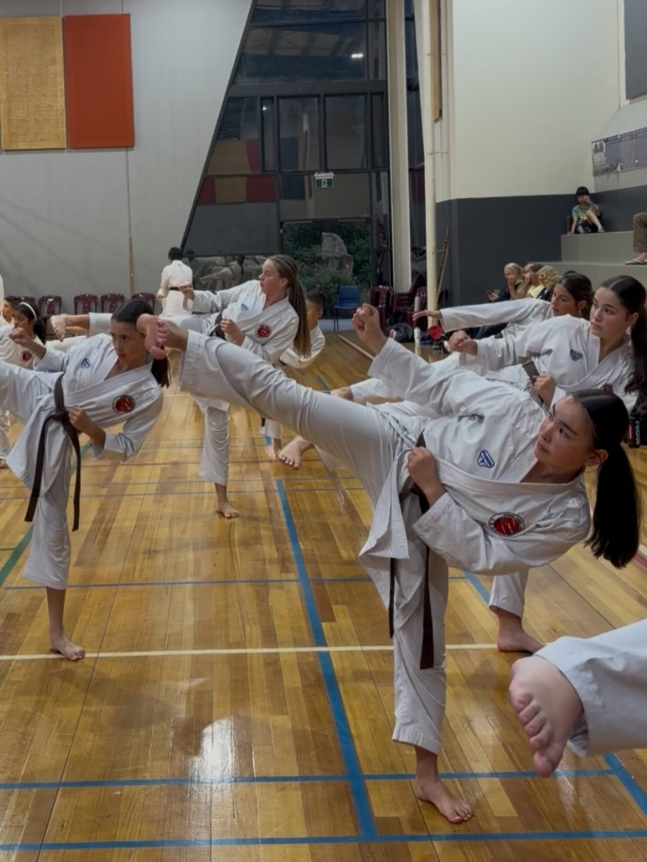 Shindo Karate Altona Meadows Dojo Facebook ad