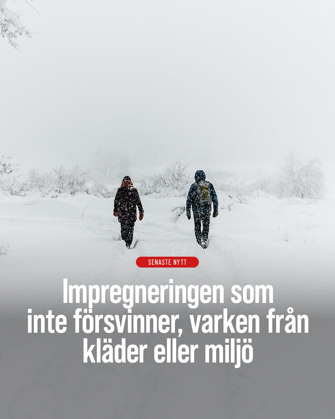 Sunda Facebook ad: PFAS i impregneringsmedel ifrågasätts, nya alternativ…